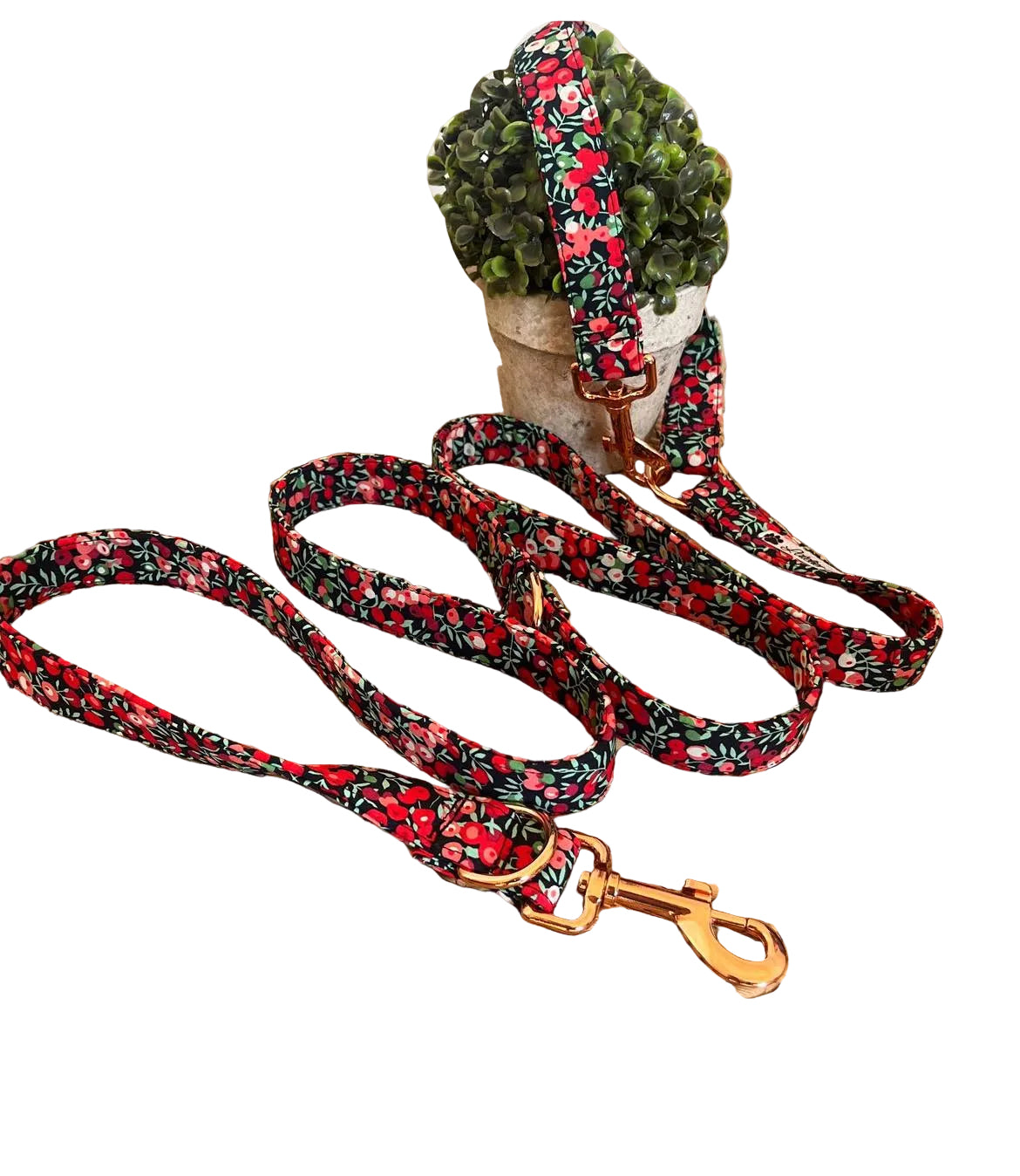 Laisse Red cherry