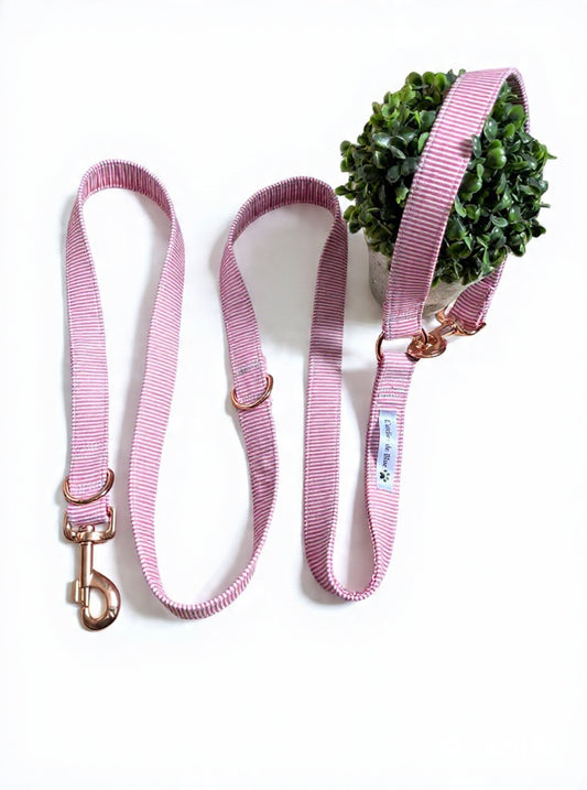 Laisse rayures rose
