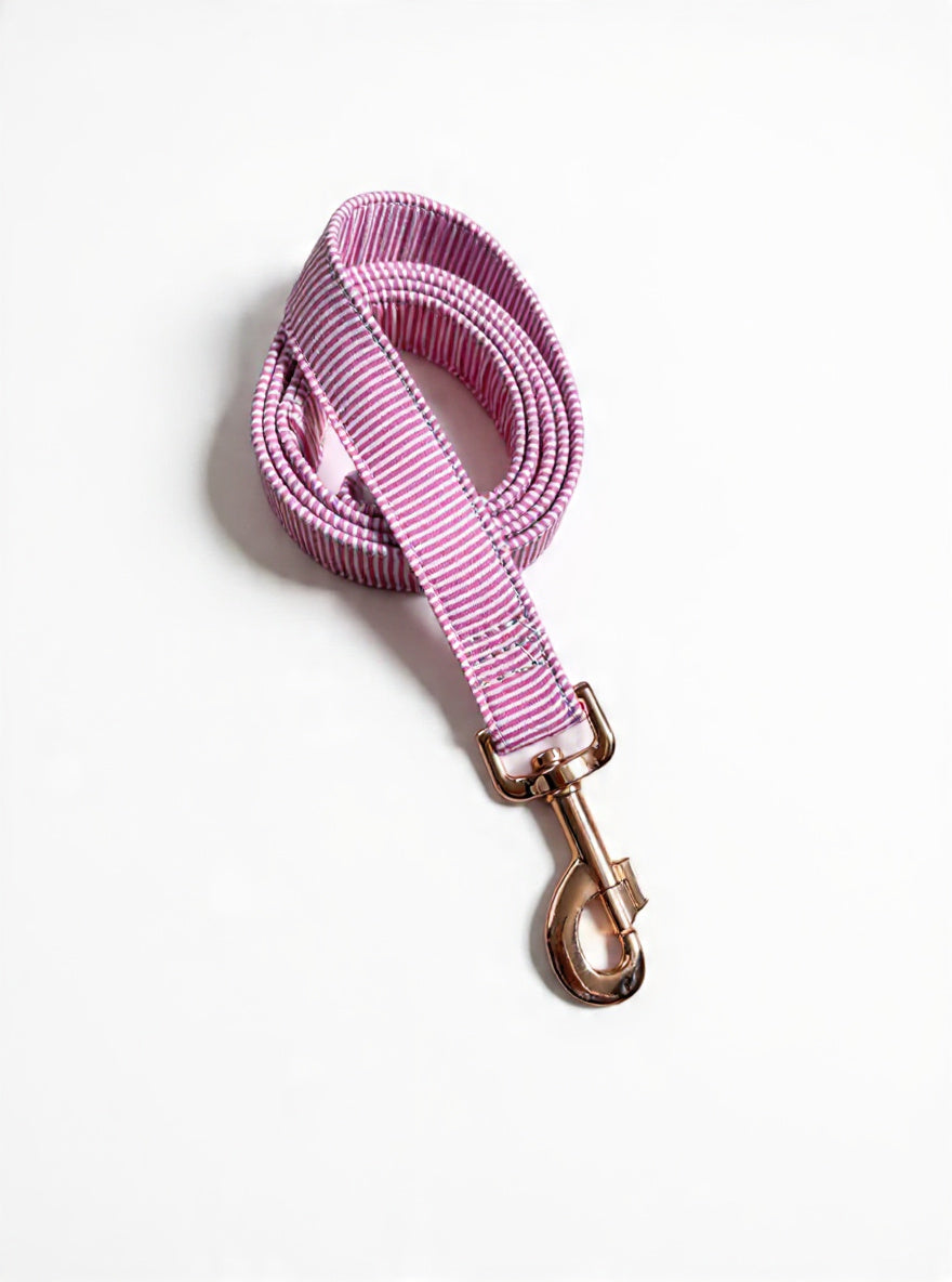 Laisse rayures rose