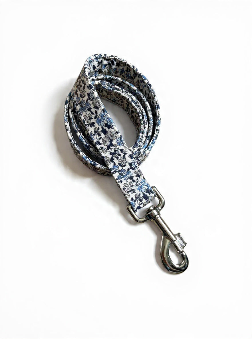 Laisse bleu ( enduit )