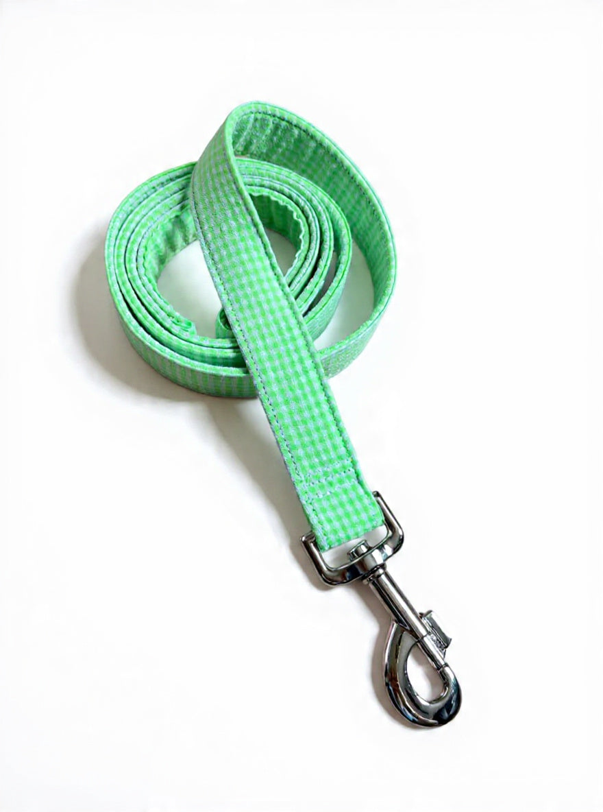 Laisse fluo verte